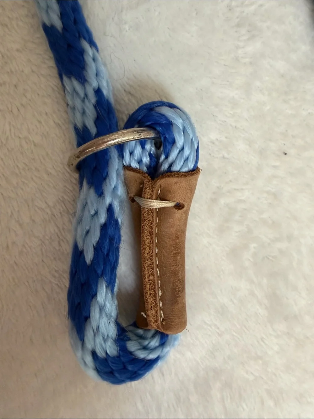 Mendota Pet 6 Ft Rope Slip Lead Dog Leash Light and Royal Blue